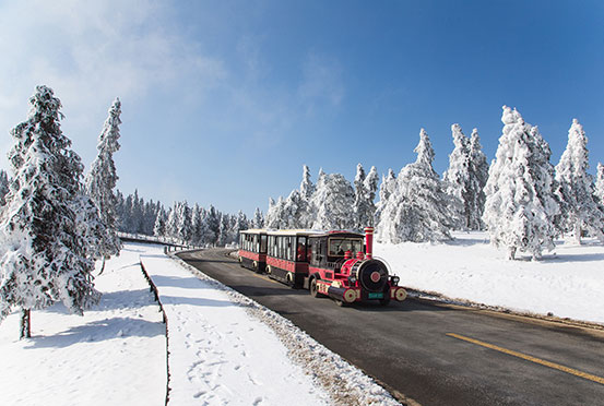 仙女山國家森林公園_仙女山旅游攻略_仙女山簡介